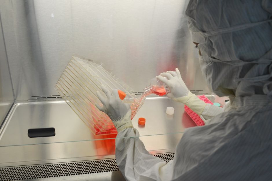 Does Gene Therapy Have to Change All of a Person's DNA to Treat a Genetic Disorder?
